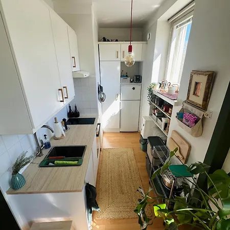 Apartment Cozy With Amazing Location Helsinki